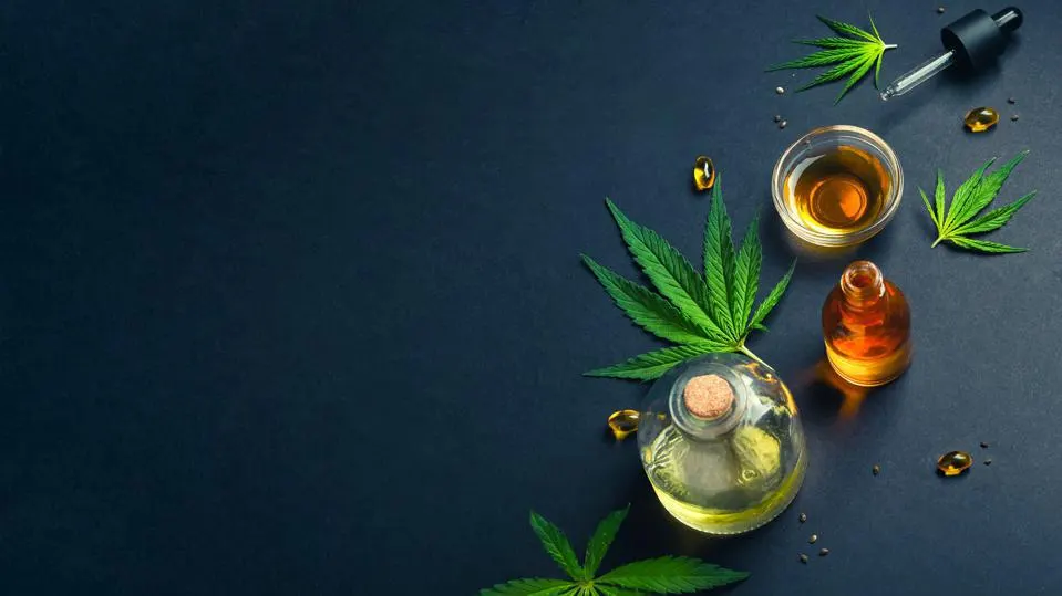 Exploring the Benefits: How CBD Oil Can Transform Your Daily Wellness Routine